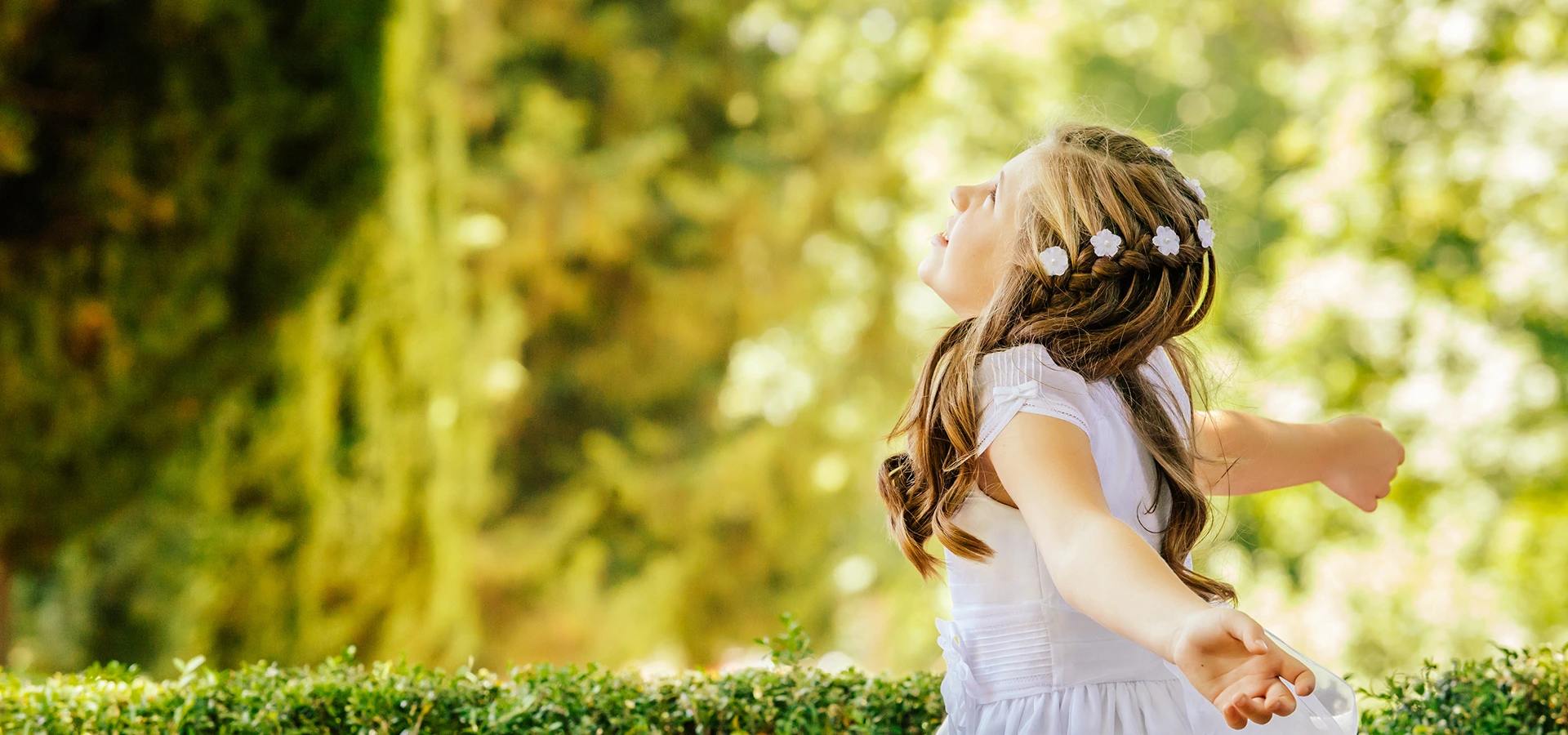 Hero background - catering and event planning